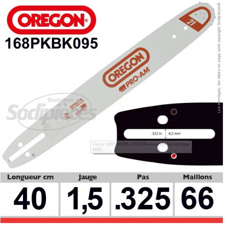 Guide OREGON Amateur Symétrique K095-40 cm