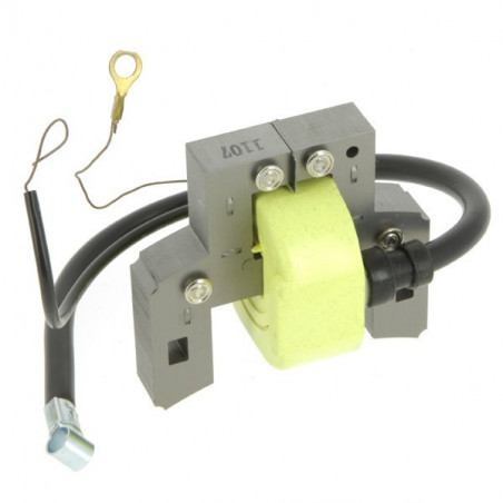 Bobine d' allumage pour B&S 298 316
