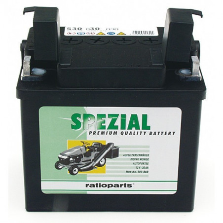 BATTERIE pour Castel Garden