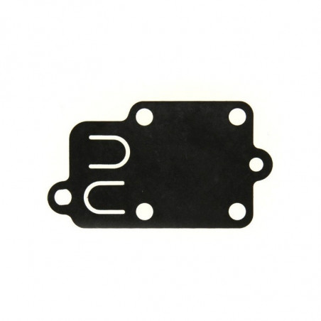 Membrane pour Briggs et Stratton 270026