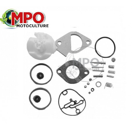Kit carburateur pour Briggs & Stratton 796184
