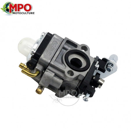 Carburateur pour Echo PPT261