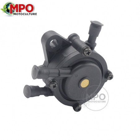 Pompe à essence Briggs & Stratton 808656 / 694000