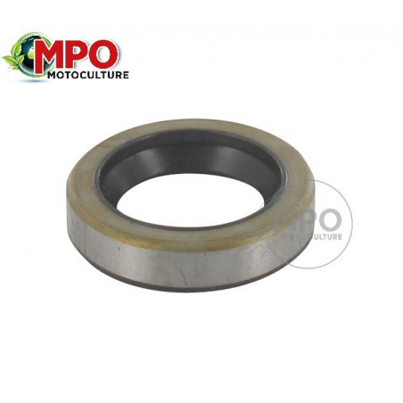 Joint spi pour Briggs & Stratton