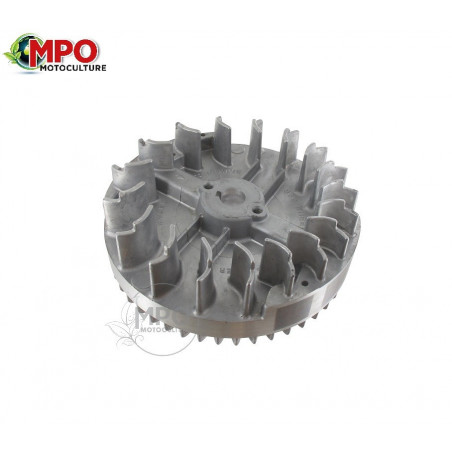 Volant magnétique lourd pour Briggs & Stratton 09772, 097777, 110702, 114702, 120H02, 120K02...
